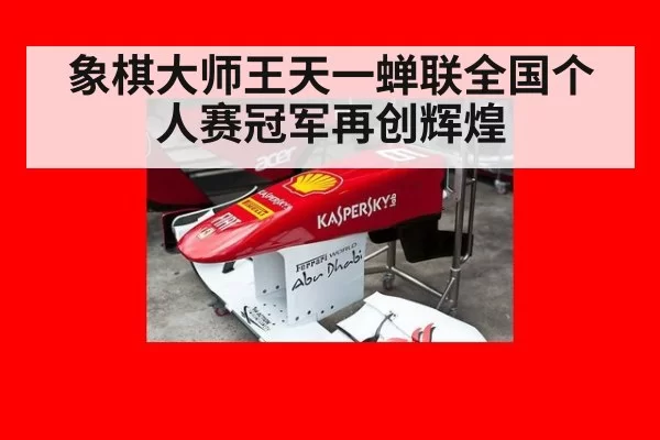 象棋大师王天一蝉联全国个人赛冠军再创辉煌